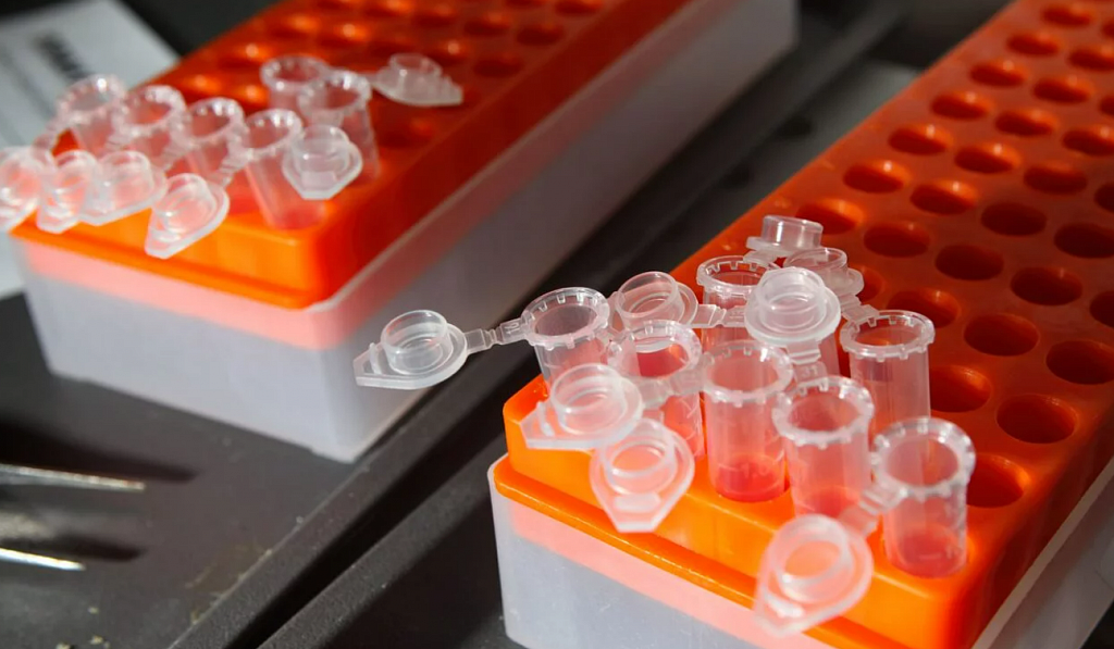 Эпидемия. Изображение 3