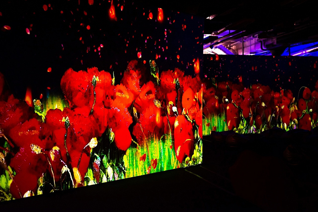 ВАН ГОГ. ОЖИВШИЕ ПОЛОТНА. Изображение 2