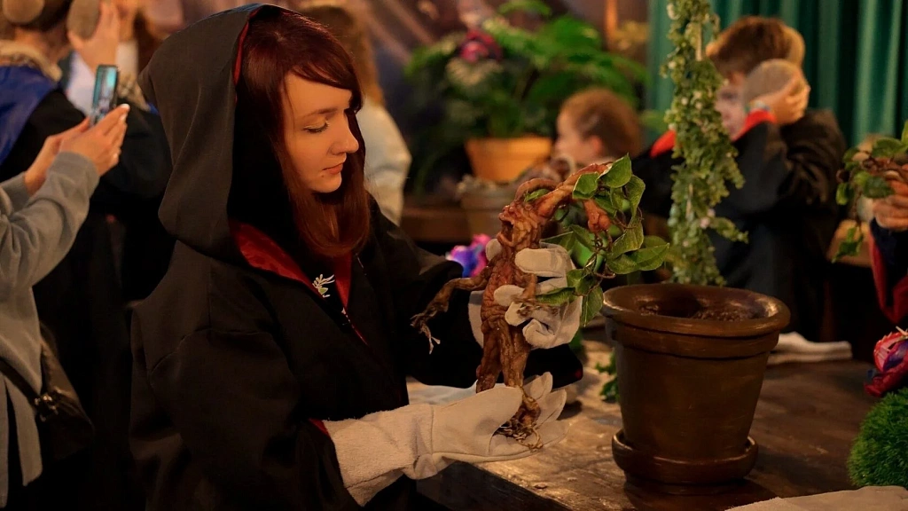 Выставка «Вселенная Гарри Поттера». Изображение 2