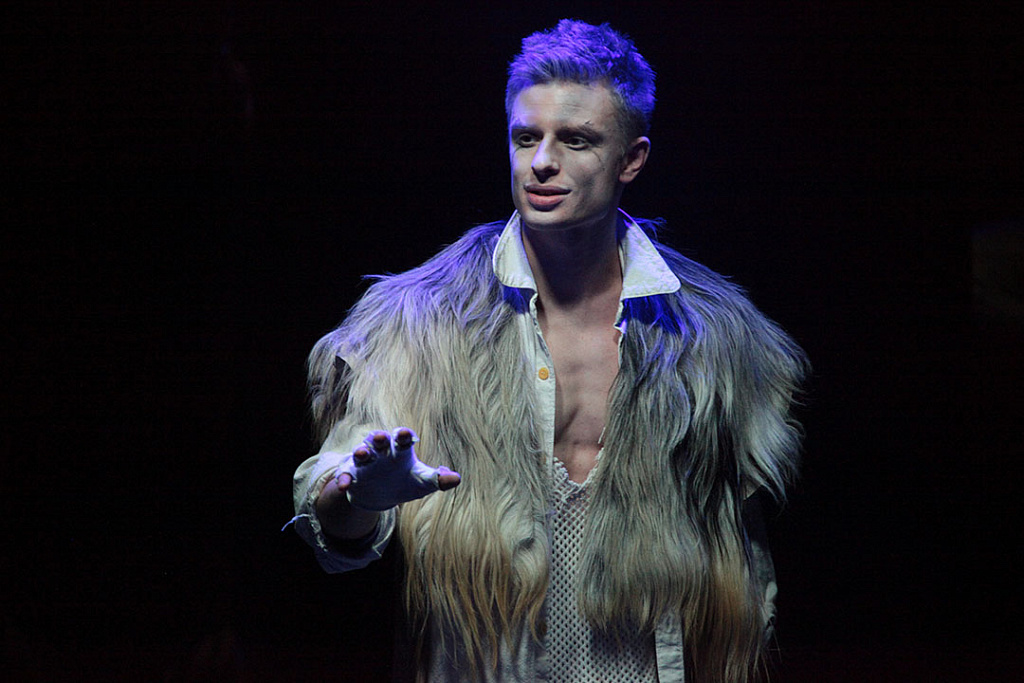 Собаки. Изображение 6