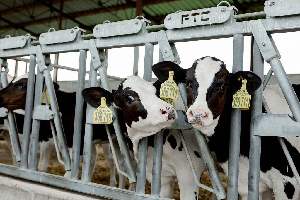 Экскурсии от «ЭкоНива». Изображение 3