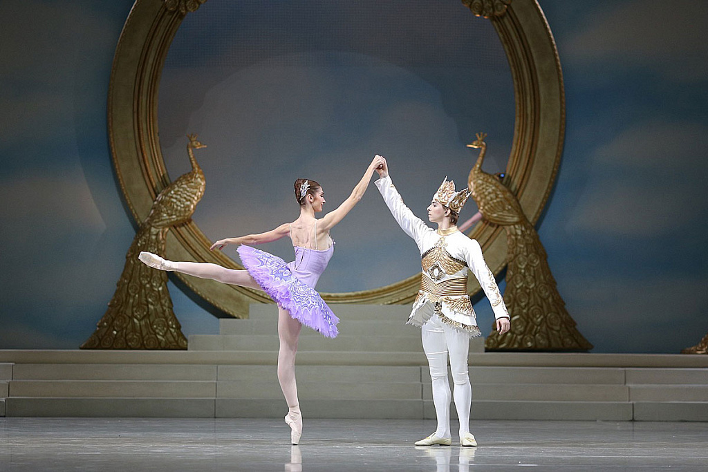 Спящая красавица (РАМТ). Изображение 1