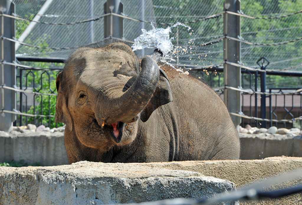 Московский Зоопарк. Изображение 4