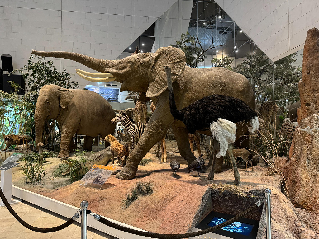 Государственный Дарвиновский музей. Изображение 17