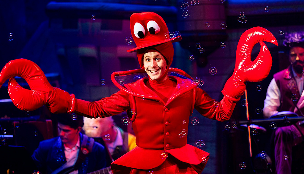 Новогоднее Созвездие. Изображение 9