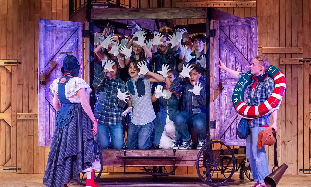 Приключения Тома Сойера (ДМТЮА). Изображение 12