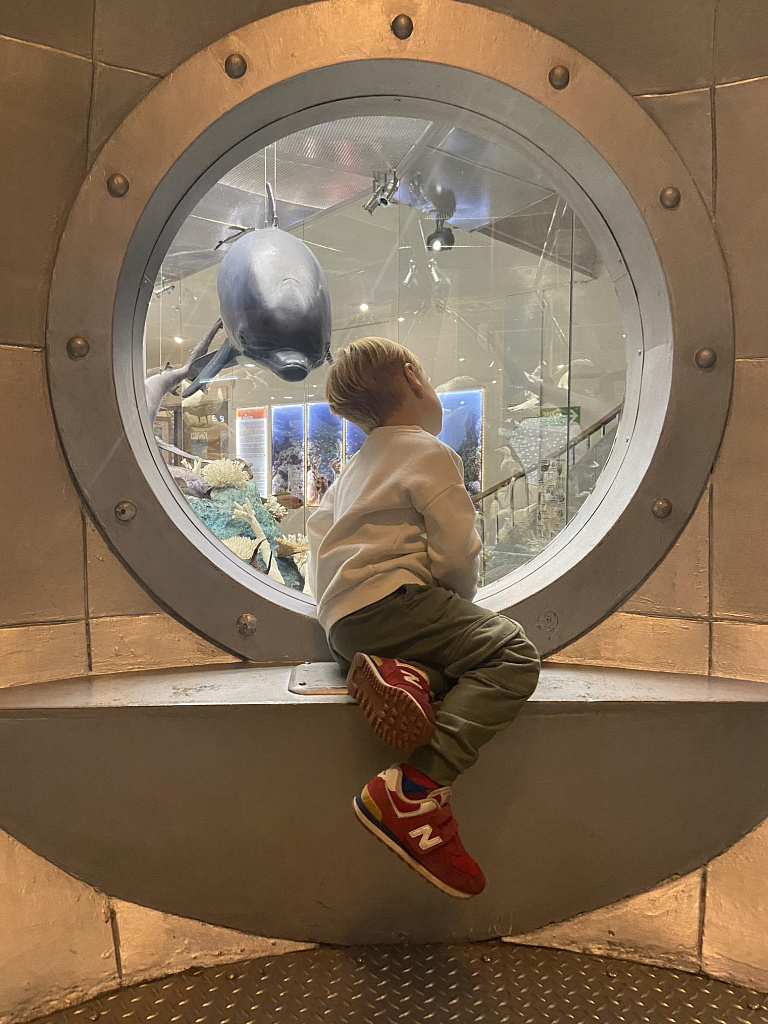 Государственный Дарвиновский музей. Изображение 9