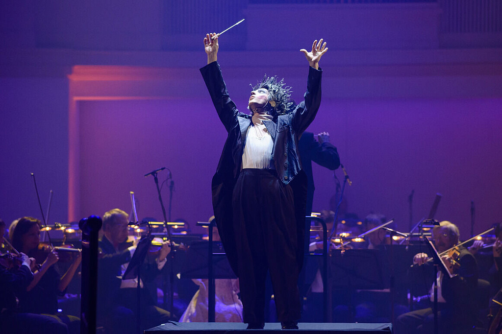 Новогодняя сказка для Ёжика с оркестром. Изображение 3