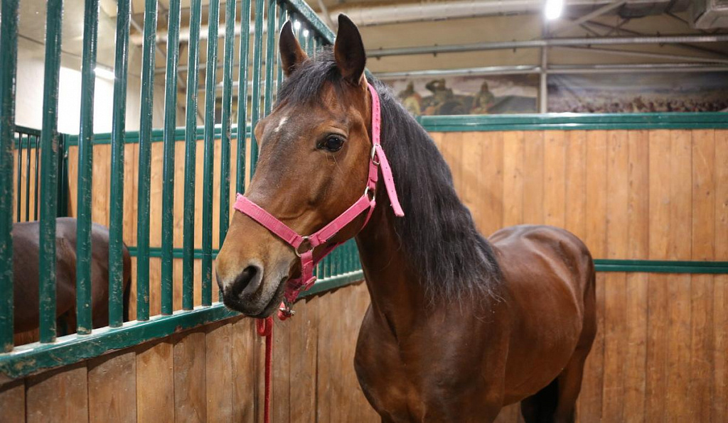 Живой уголок в Парке Патриот. Изображение 1