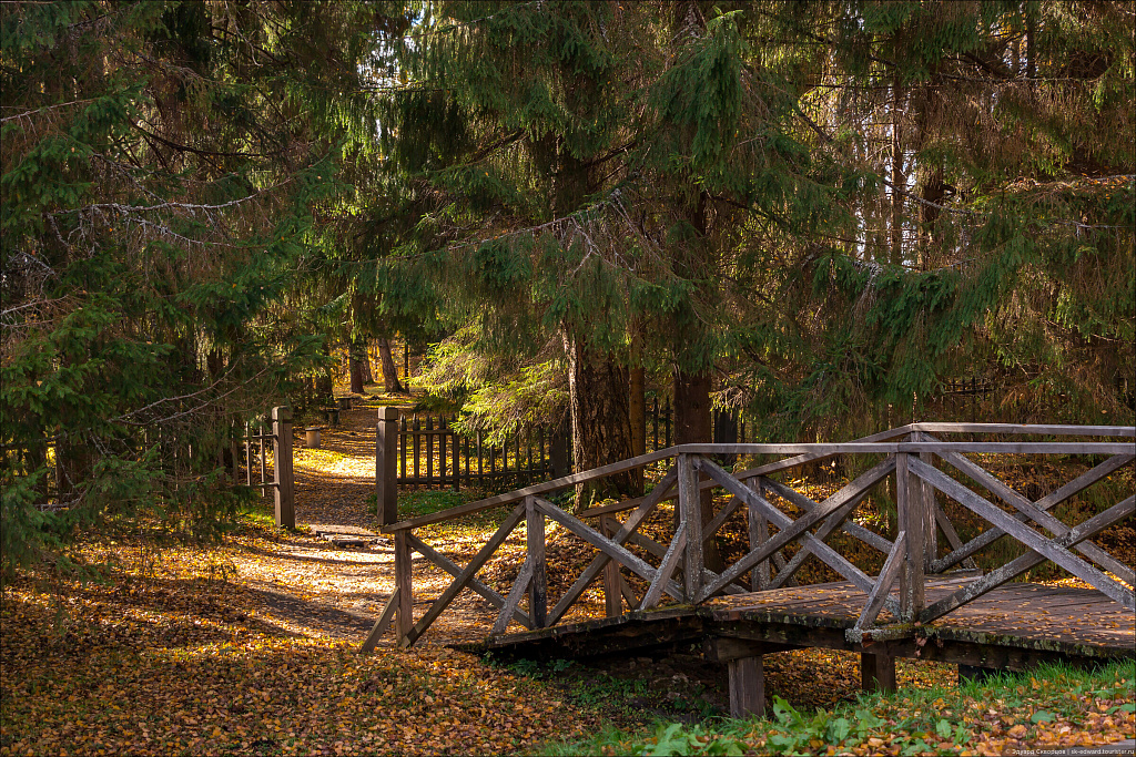 Музей-заповедник А.Н. Островского "Щелыково". Изображение 1