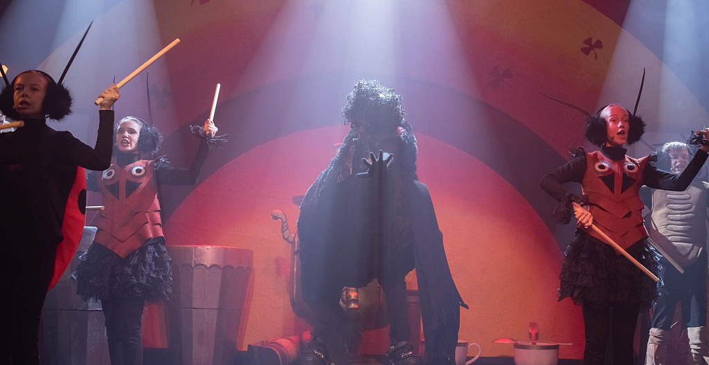 Муха-цокотуха (ДМТЮА). Изображение 1