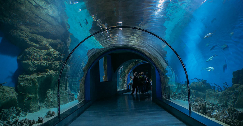 Москвариум - центр океанографии и морской биологии . Изображение 2