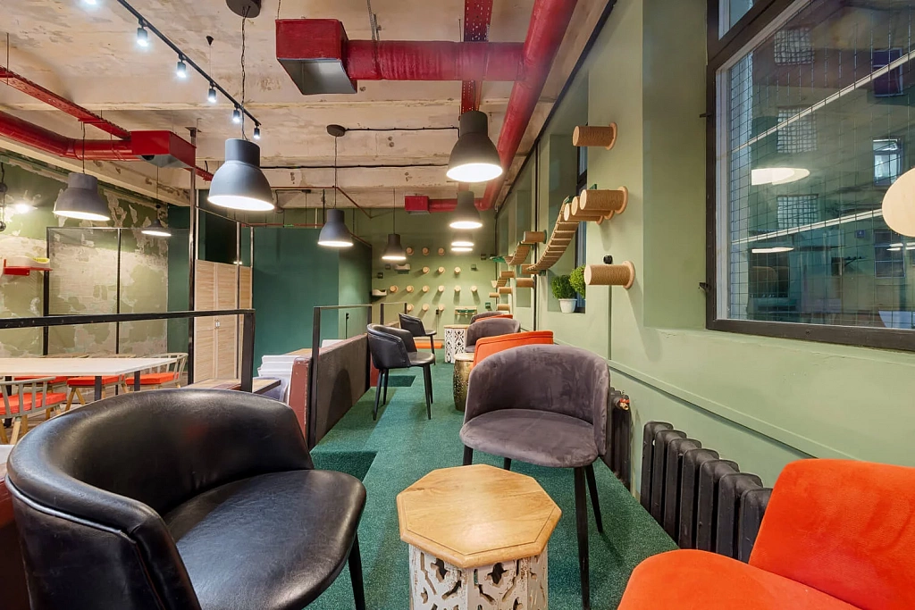 Котокафе "Котики: смена!". Изображение 3