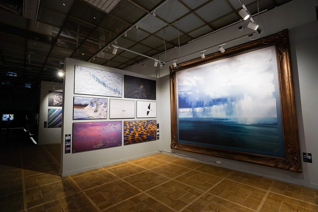 Самая красивая страна. Изображение 3