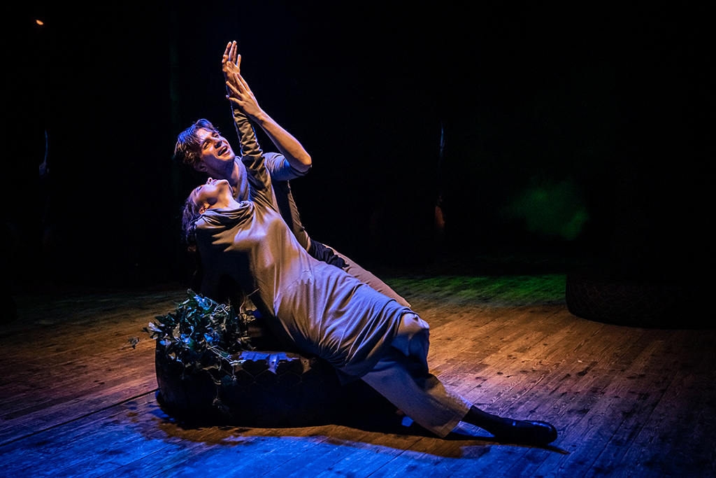 Чайка (Театр на Юго-Западе). Изображение 3