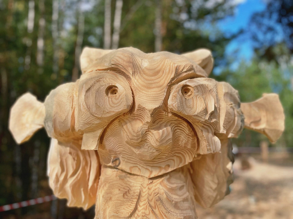 Музей деревянного зодчества им. В.П.Грошева. Изображение 5