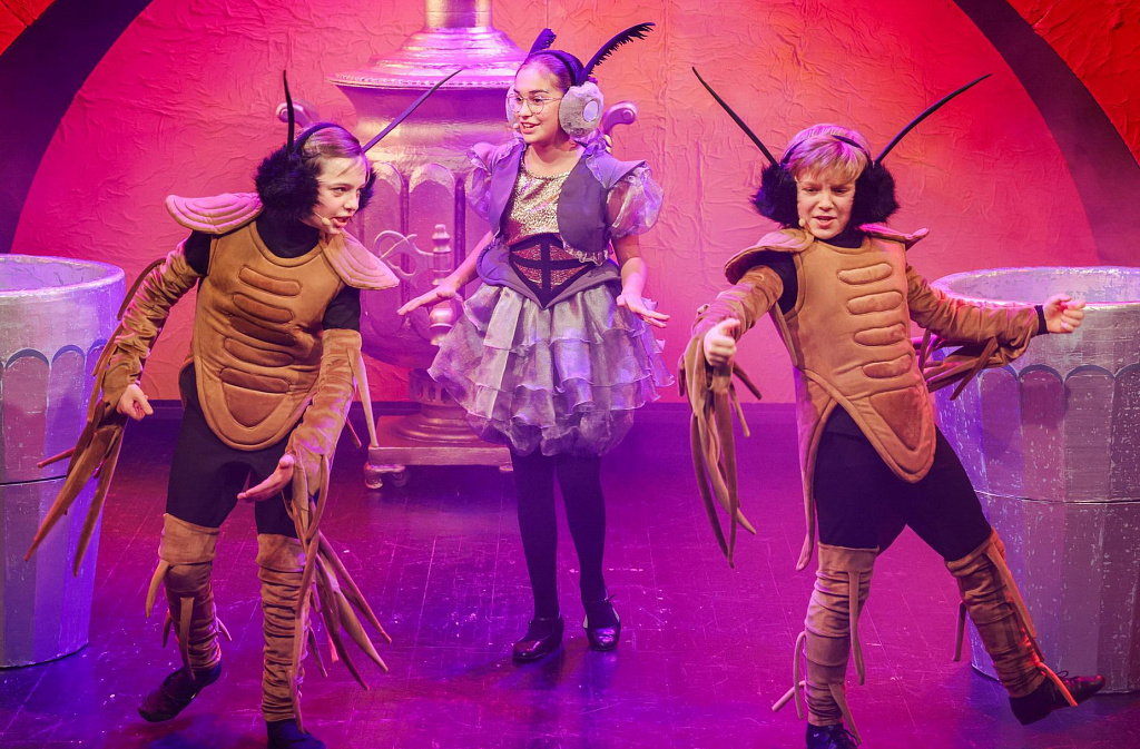 Муха-цокотуха (ДМТЮА). Изображение 11