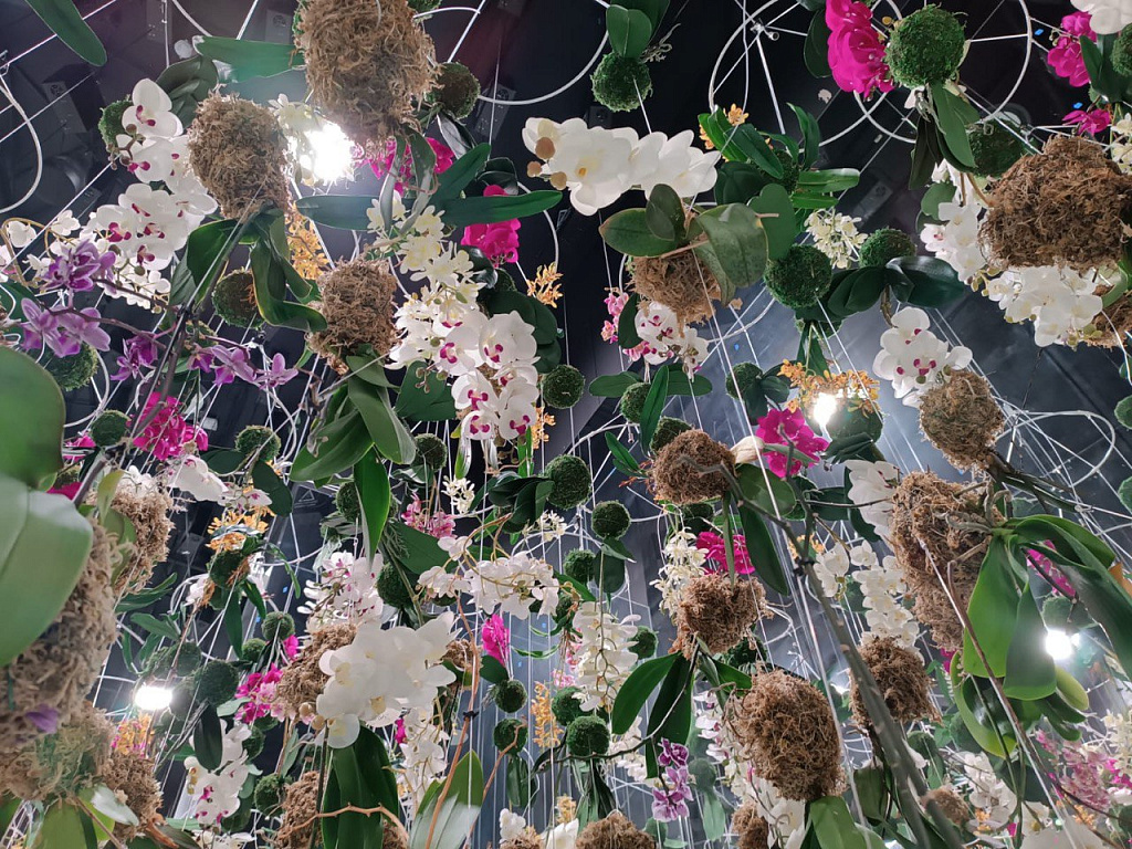 Futurione. Виджитал пространство. Изображение 13