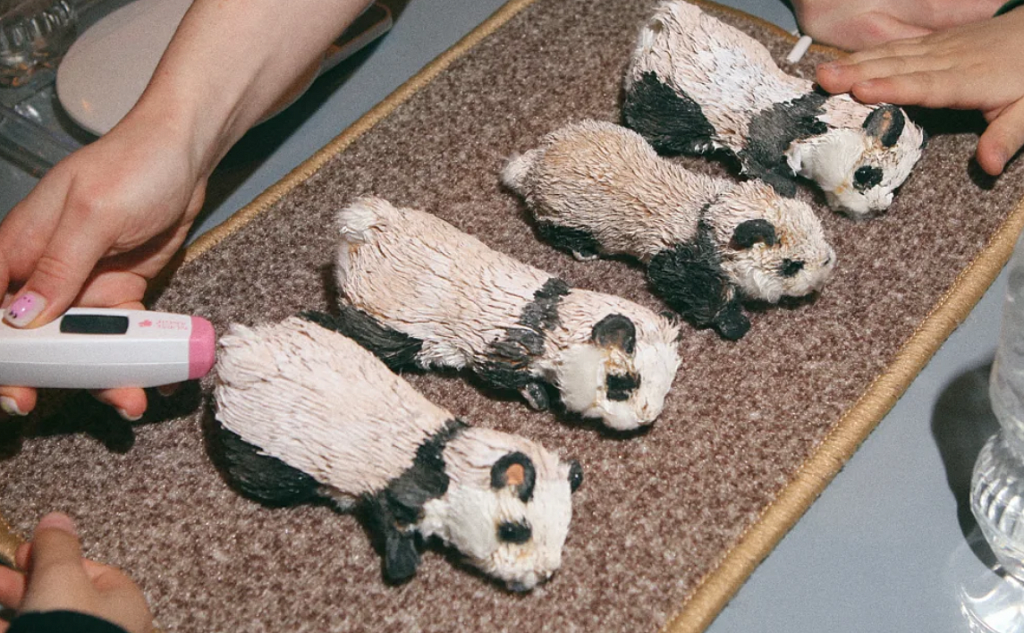 ВЕТЕРИНАРИЯ. Изображение 2