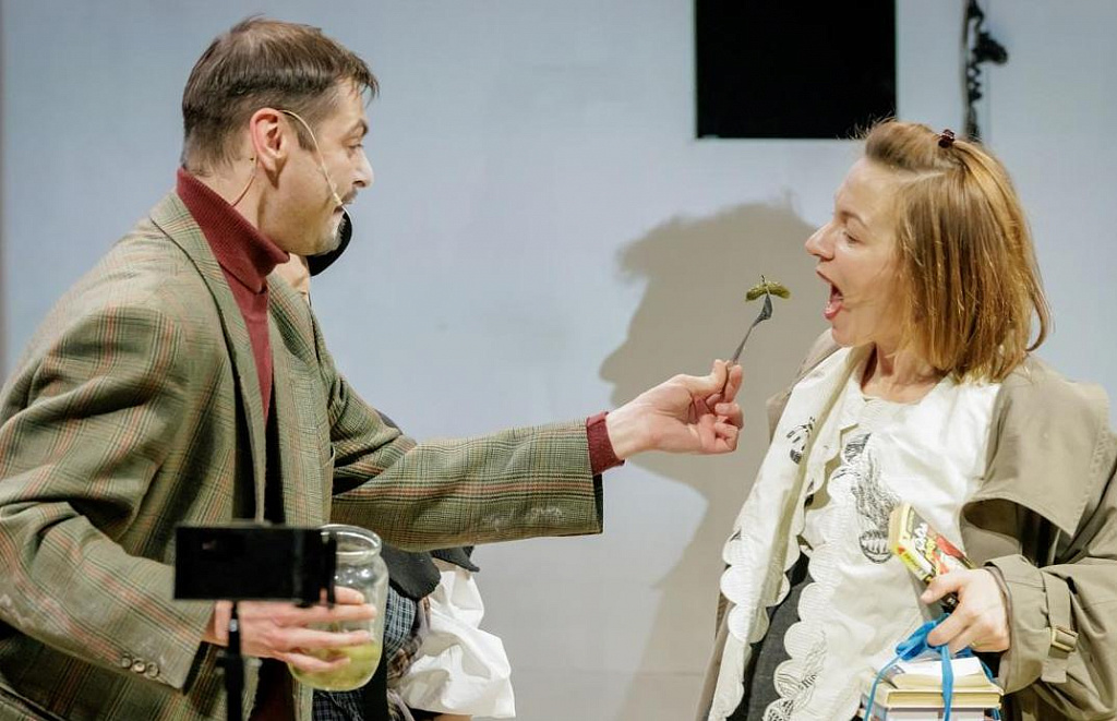 Мадам Бовари. Изображение 10