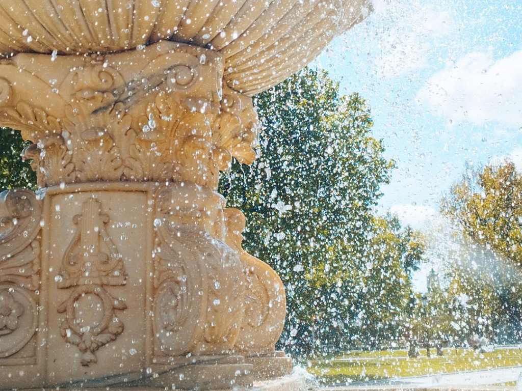 Сад Эрмитаж. Изображение 7