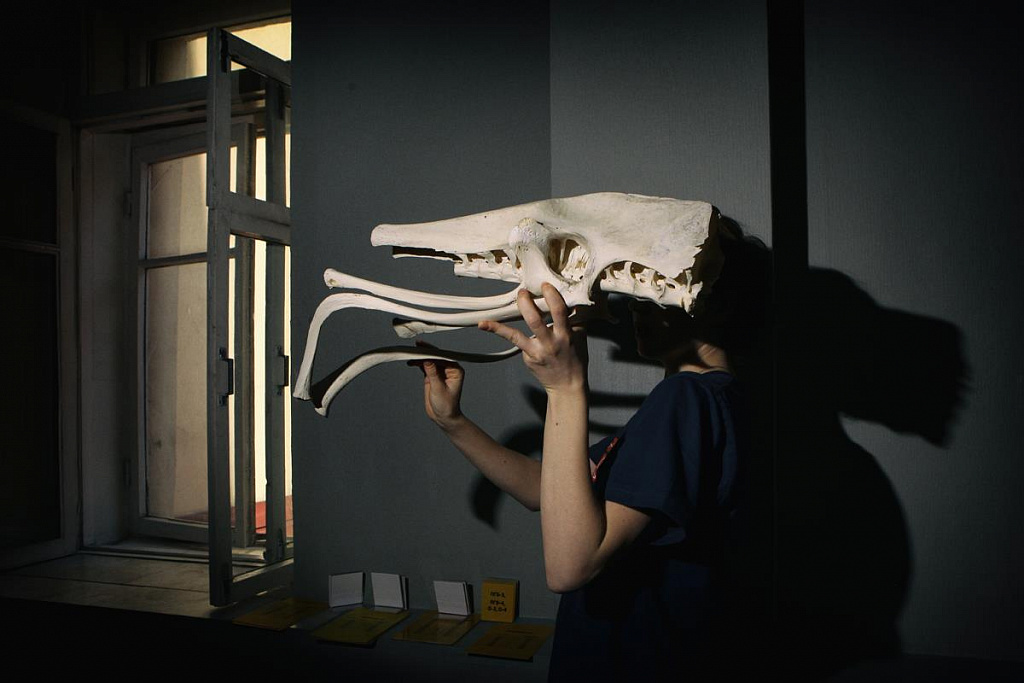 Sciencely. Умная Москва. Изображение 3