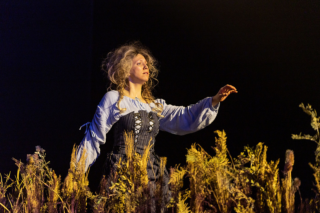 Дон Кихот (Мастерская «12» Никиты Михалкова). Изображение 3