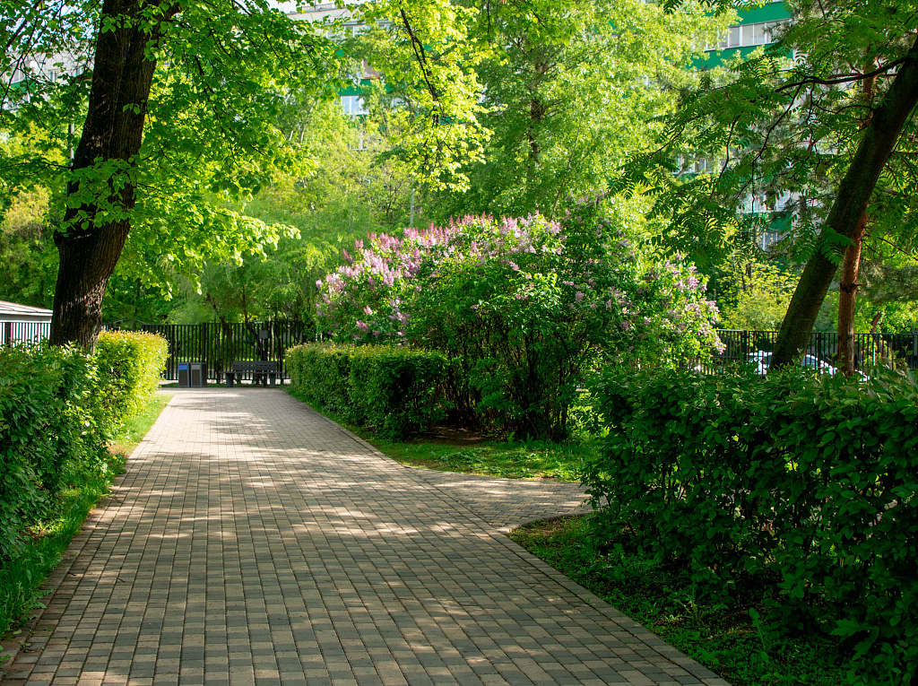 Таганский парк. Изображение 6