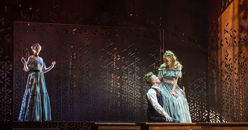 СОБАКА НА СЕНЕ (Губернский театр). Изображение 7