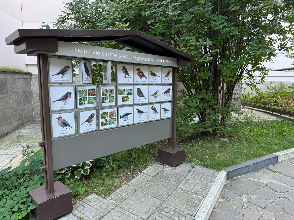 Государственный Дарвиновский музей. Изображение 5