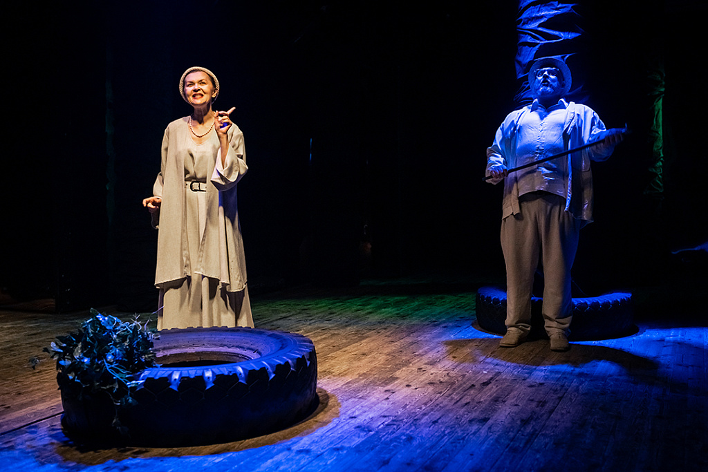 Чайка (Театр на Юго-Западе). Изображение 7