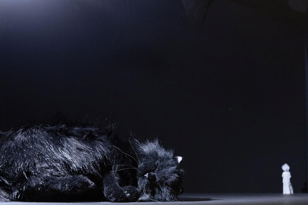 Выставка «Я иду искать!» . Изображение 1