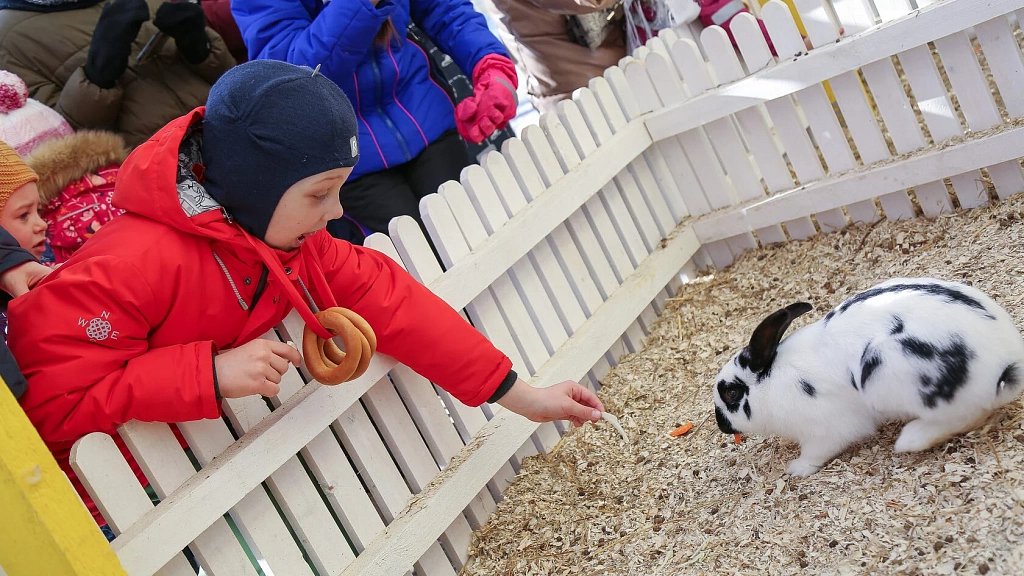 ШИРОКАЯ МАСЛЕНИЦА НА ФЕРМЕ СТРАУСОВ. Изображение 1
