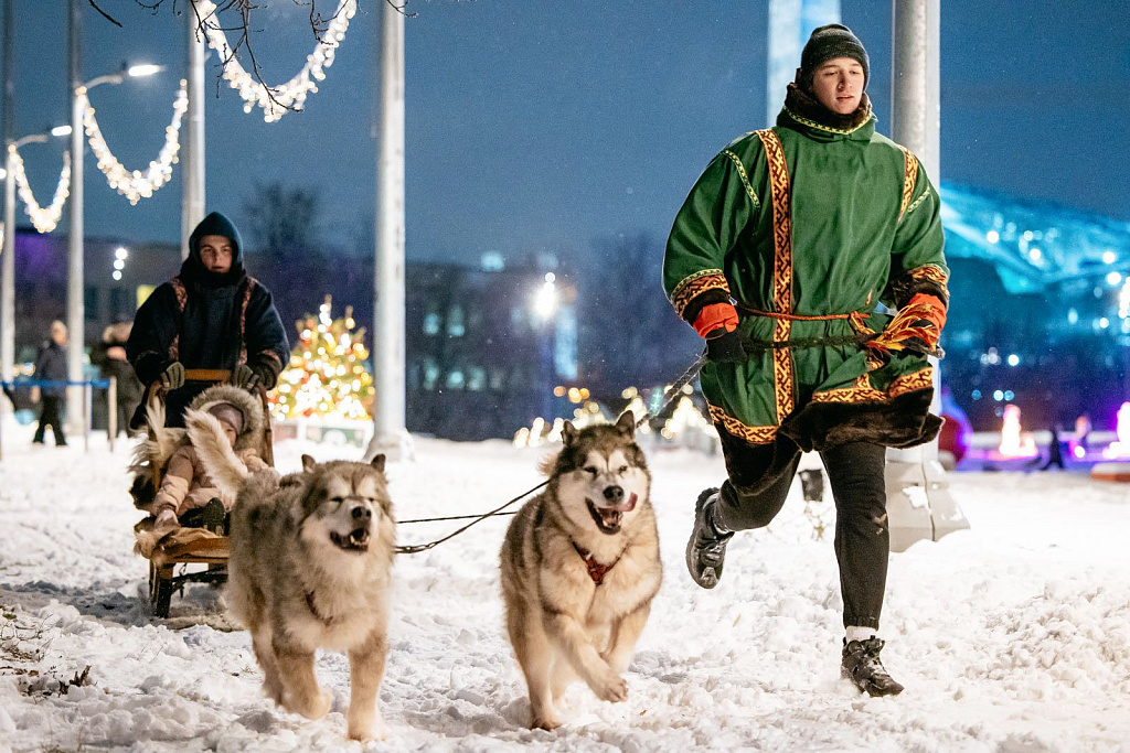 Каток-кинотеатр на Воробьевых горах. Изображение 2