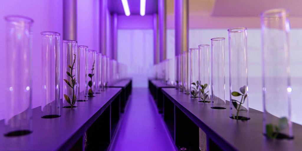 Музей Биотех. Изображение 9