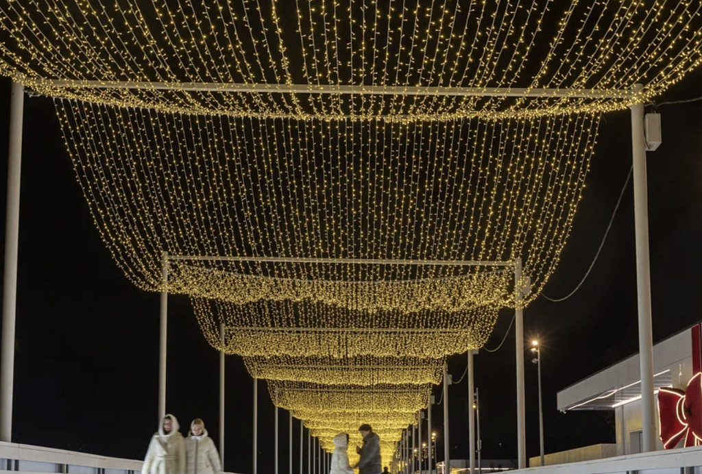 Катки в Коломенском. Изображение 4