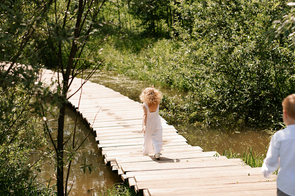 Мещерский парк. Изображение 16