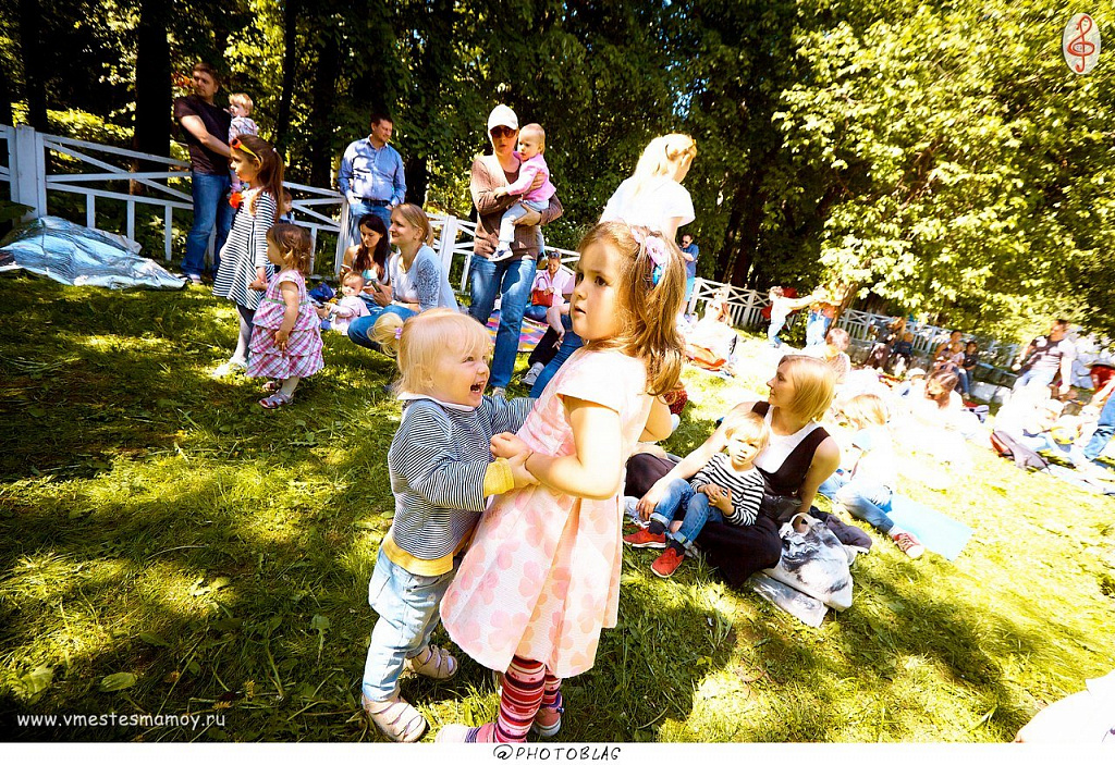 Концерт рок-н-ролла под открытым небом. Изображение 2