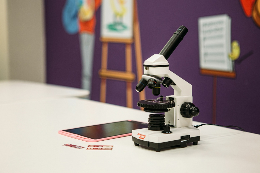 Занятия и мастер-классы в музее «Экспонариум». Изображение 6