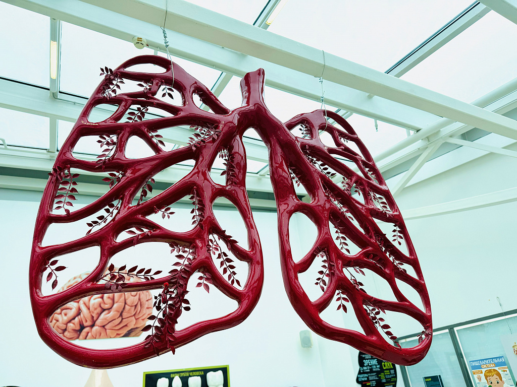 Анатомикум. Изображение 1