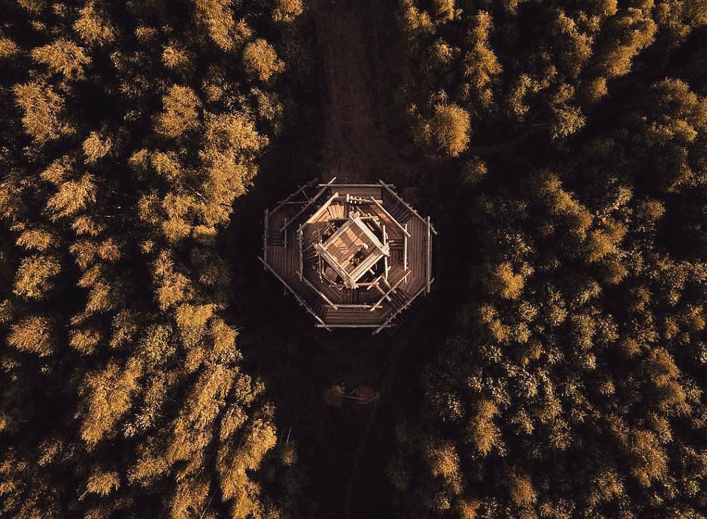 Арт-парк Никола-Ленивец. Изображение 7