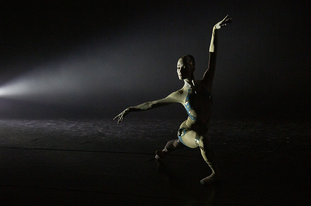 RICHARDCAPRICCIO декаDance-балет на музыку Рихарда Штрауса. Изображение 8