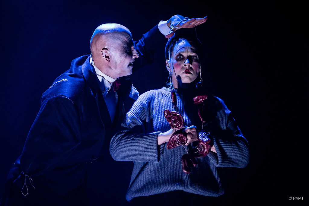 Василисса. Изображение 6