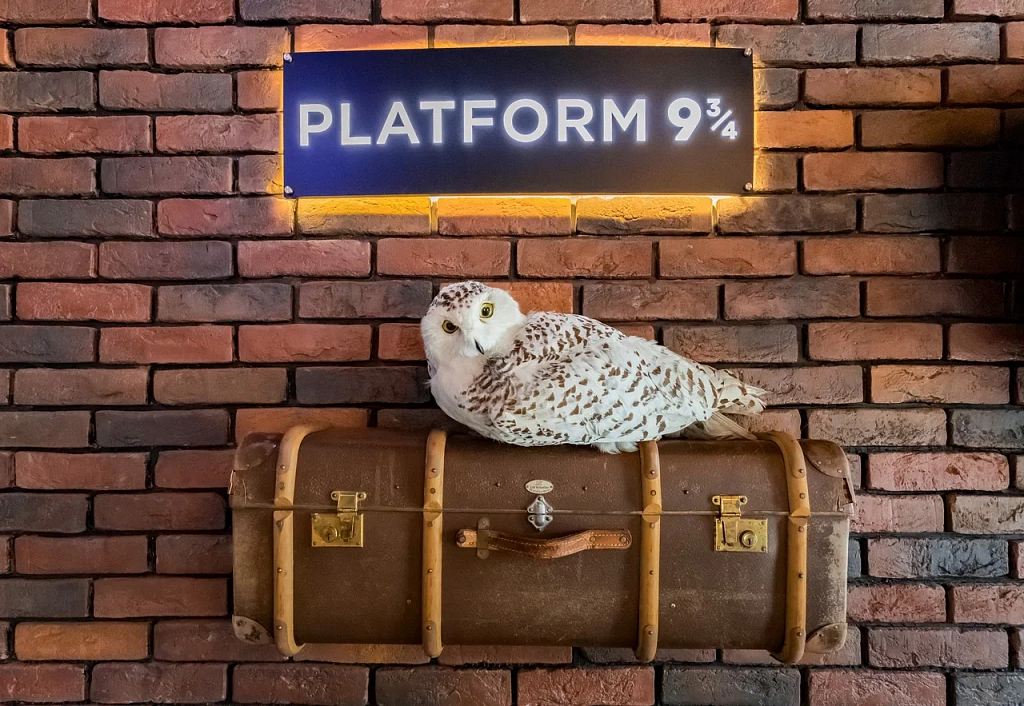 Кофейня "Три Метлы". Изображение 6