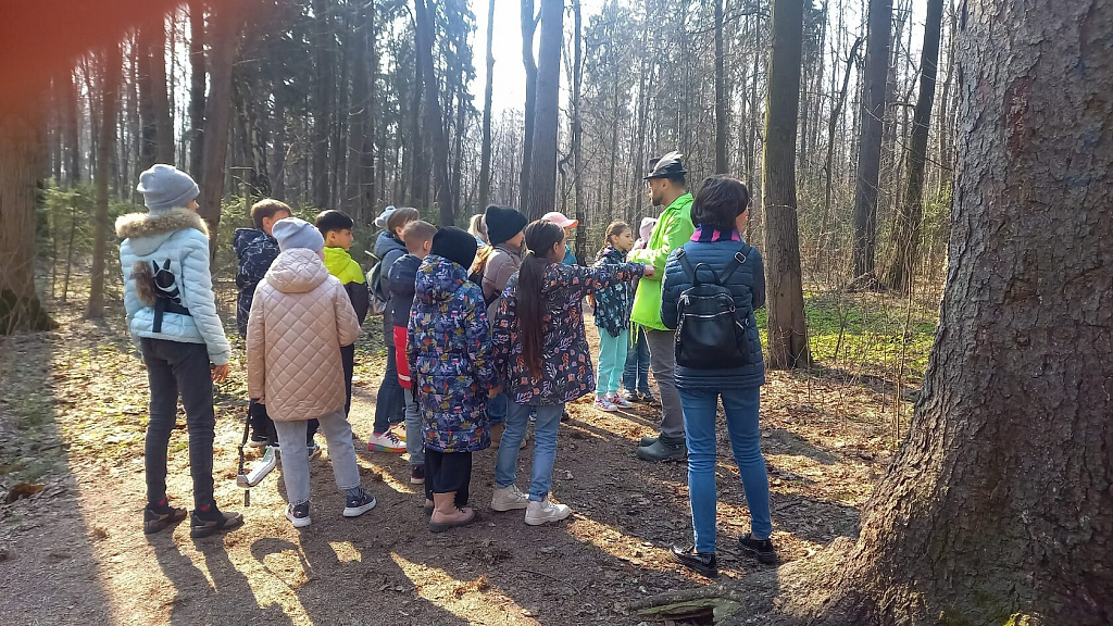 Экопроект "Гнездо вяхиря". Изображение 3