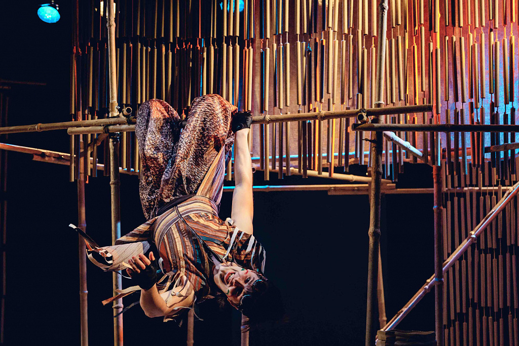 Рикки-Тикки-Тави (Театр на Покровке). Изображение 1