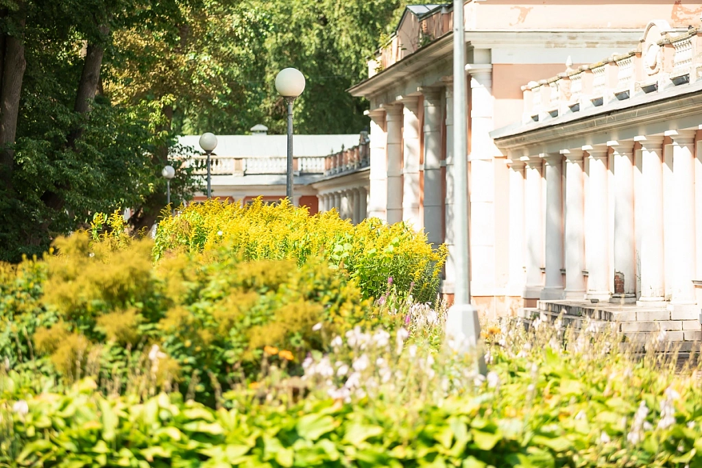 Воронцовский парк. Изображение 9