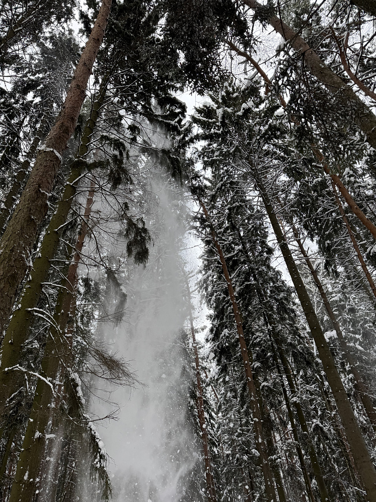 Мещерский парк. Изображение 23