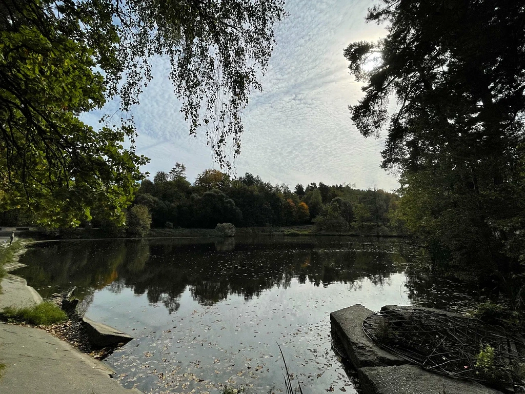 Битцевский лесопарк. Изображение 1