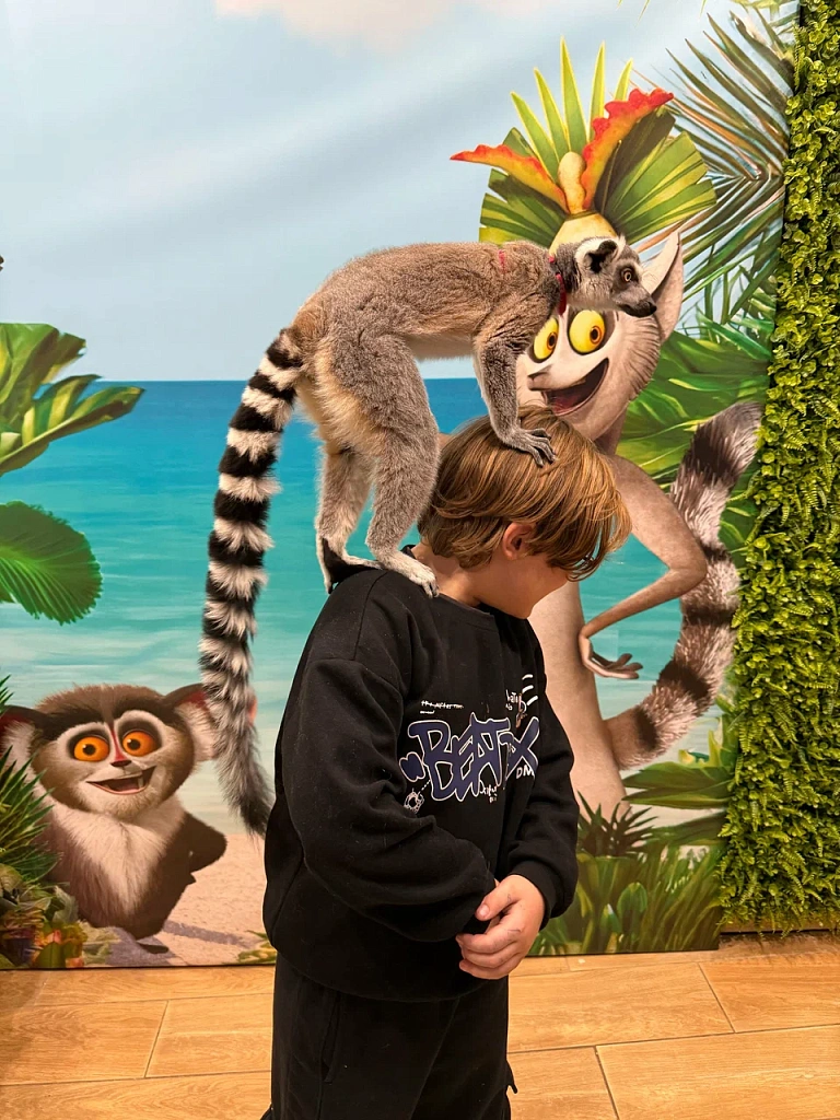 Лемур-кафе Вася. Изображение 4